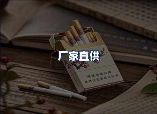 专业团队办公环境